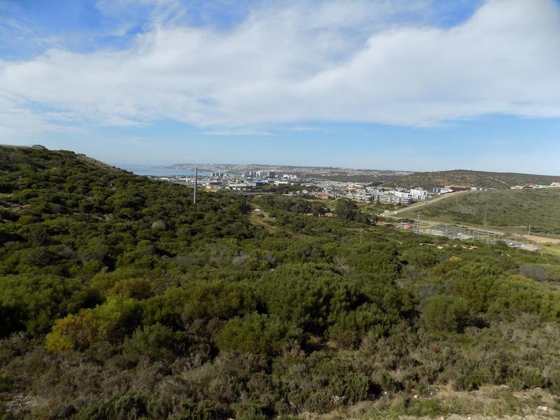3 Bedroom Property for Sale in Seemeeu Park Western Cape